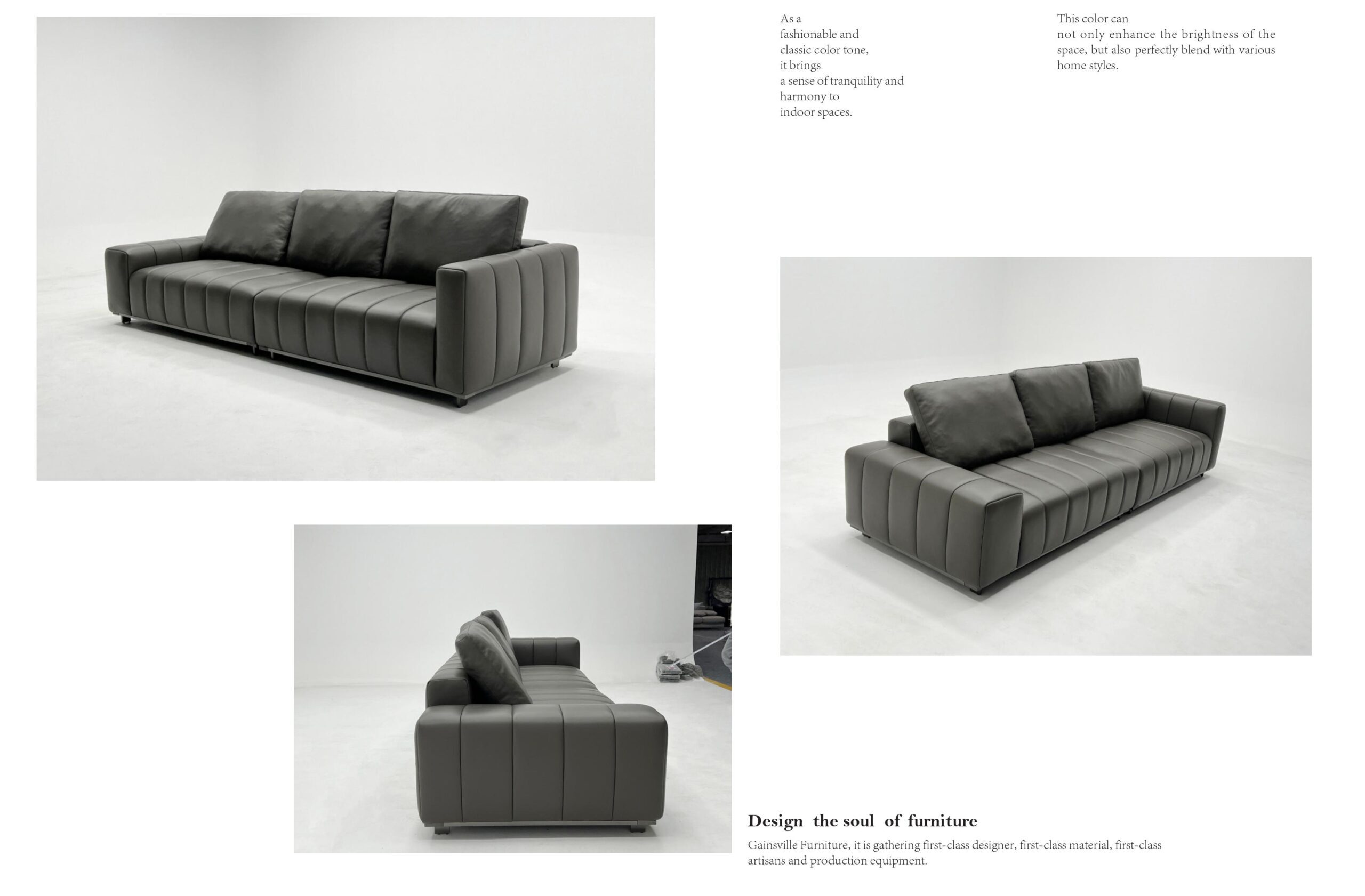 Gainsville Sofas 2024.4.24 圖片 25 scaled e1724073754659