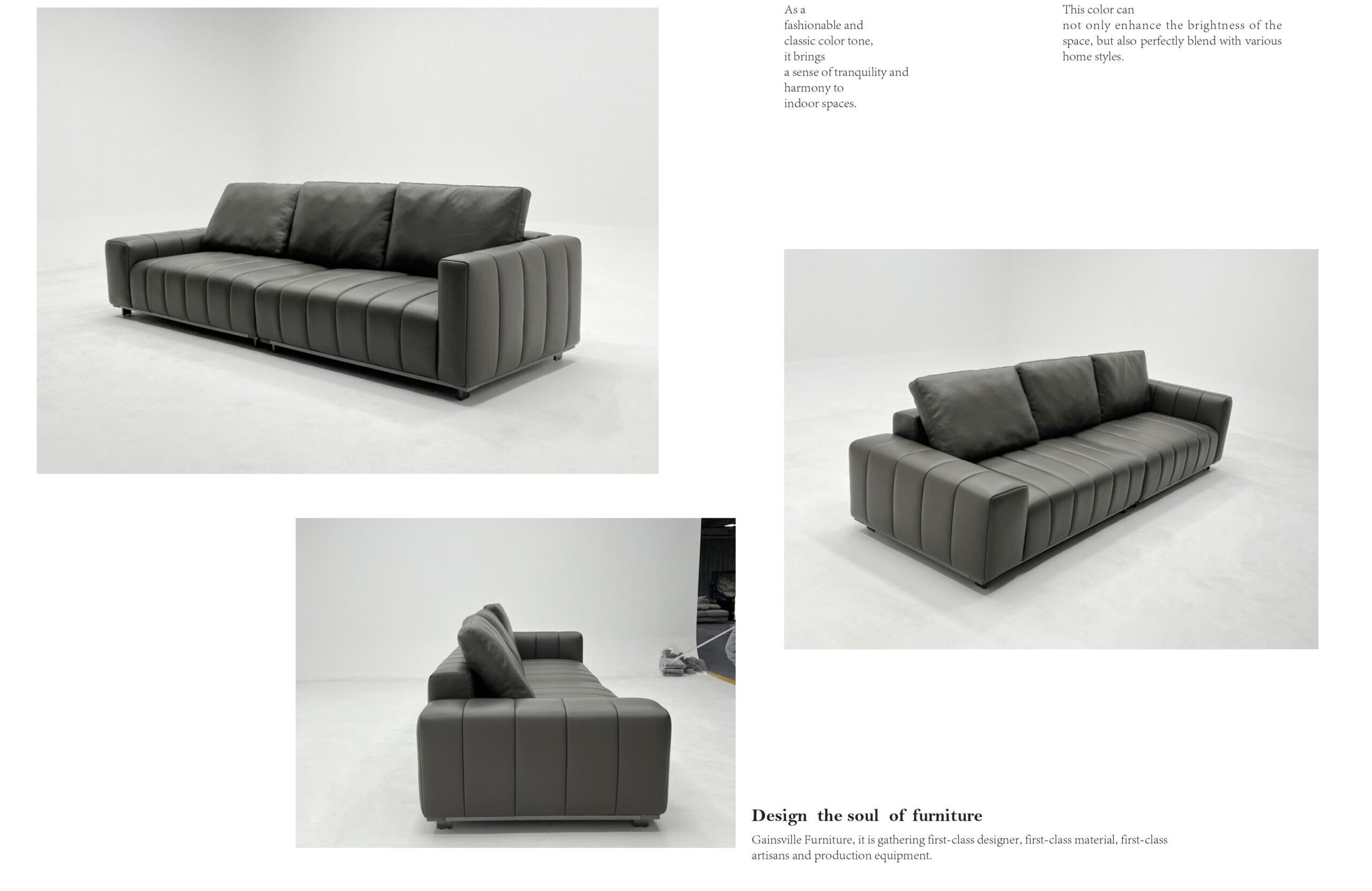 Gainsville Sofas 2024.4.24 圖片 25 scaled e1724074190910